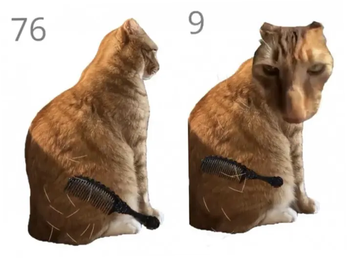 Brush Jjaemu, Game Viral yang Tantang Pemain Sisir Kucing Oranye