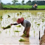 Cuaca dan Aktivitas Masyarakat Jelang Magrib di Indonesia
