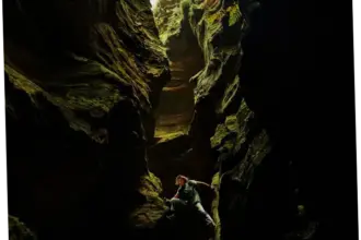 Film Apex: Sinopsis, Pemain, dan Ending yang Tayang di Netflix