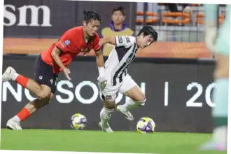 Gangwon FC: Perjalanan Menuju Puncak di Liga Korea