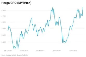 Harga CPO Hari Ini: Tren dan Dampak terhadap Ekonomi Indonesia