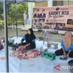 KAUMY NTB Salurkan Daging Kurban di Enam Desa Pulau Lombok