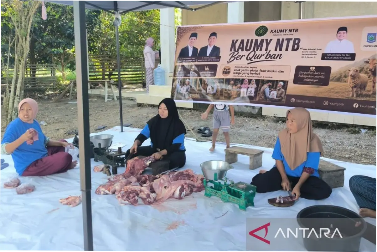 KAUMY NTB Salurkan Daging Kurban di Enam Desa Pulau Lombok