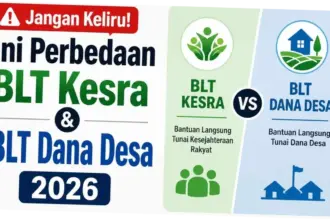 Mengenal Perbedaan BLT Kesra dan BLT Dana Desa: Skema, Penerima, dan Besarannya
