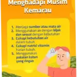 Menghadapi Musim Kemarau: Persiapan dan Dampak di Indonesia