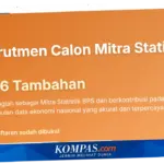 Rekrutmen Mitra Statistik BPS 2026: Syarat, Cara Daftar, dan Jadwal