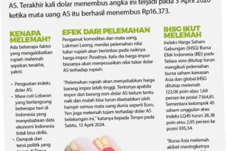 Rupiah Melemah, Apa yang Terjadi dengan Ekonomi Indonesia?