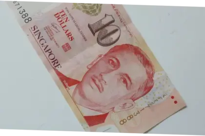 SGD dan Dampaknya terhadap Ekonomi Indonesia