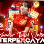 Sydney Pools: Data Pengeluaran, Film, dan Dampak di Masyarakat
