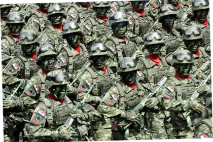 Tentara Nasional Indonesia: Peran dan Tantangan di Era Modern