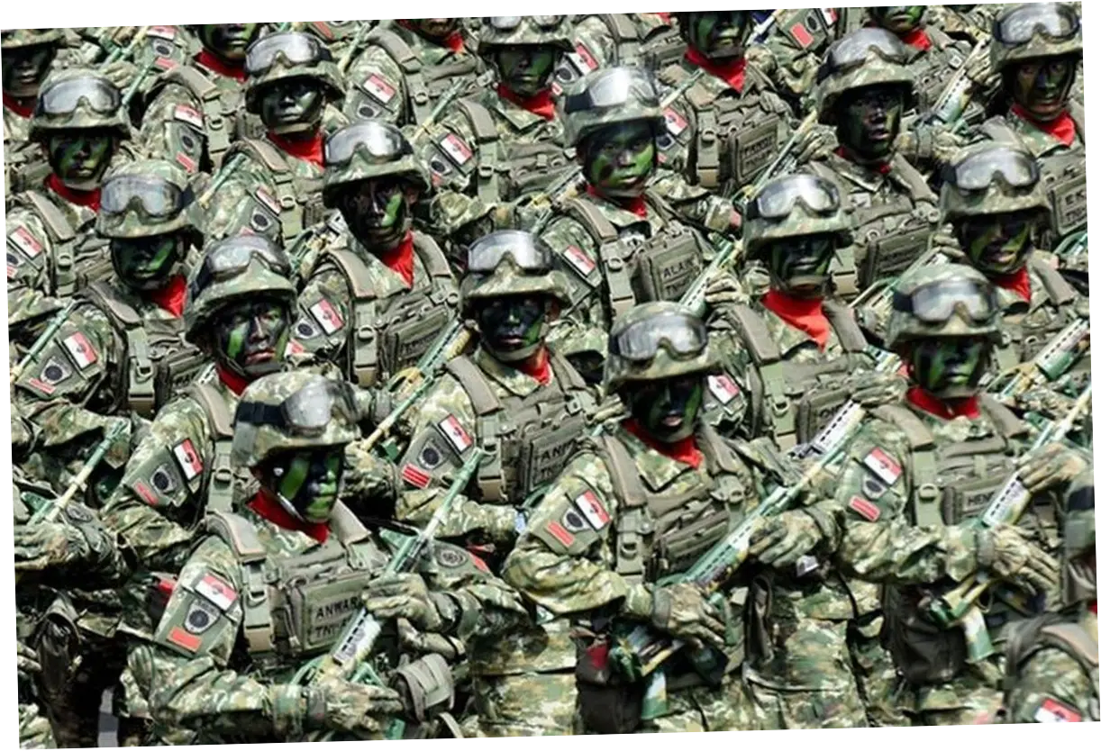 Tentara Nasional Indonesia: Peran dan Tantangan di Era Modern