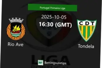 Tondela: Pertarungan untuk Bertahan dan Mencapai Posisi Atas di Liga