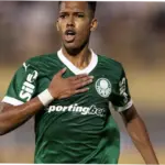 Palmeiras: Perjalanan Menuju Kesuksesan di Liga Sepak Bola Brasil