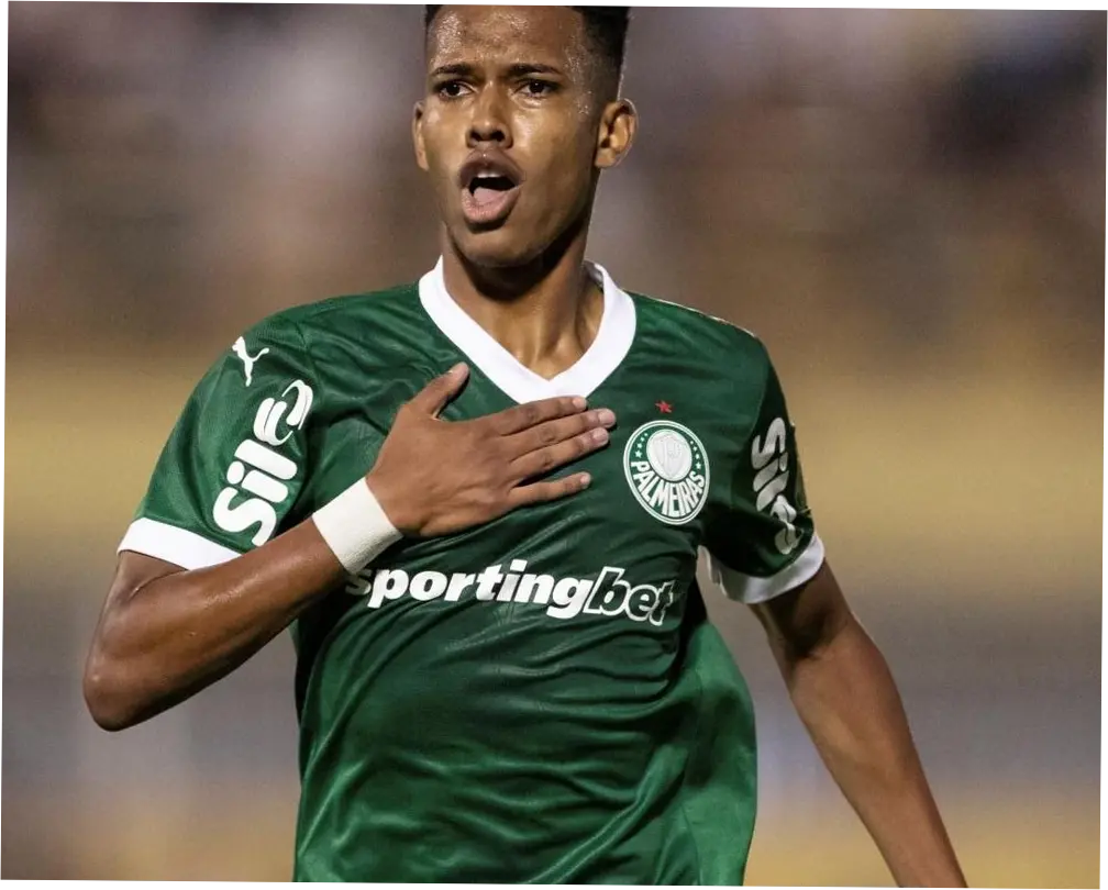 Palmeiras: Perjalanan Menuju Kesuksesan di Liga Sepak Bola Brasil